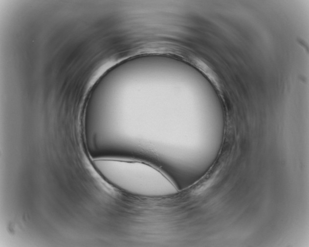 X0000095940803200801110853