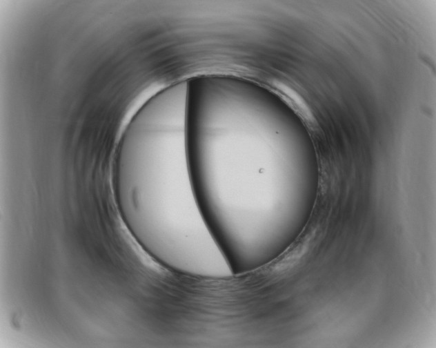 X0000095940804200801110853