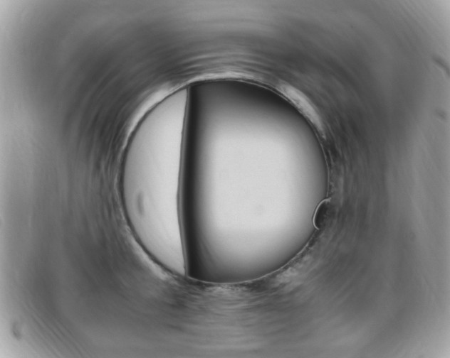 X0000095940805200801110853