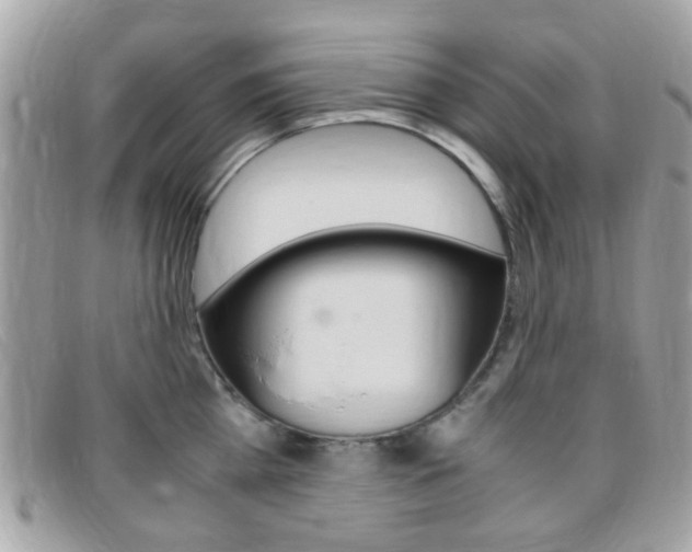 X0000095940809200801110853