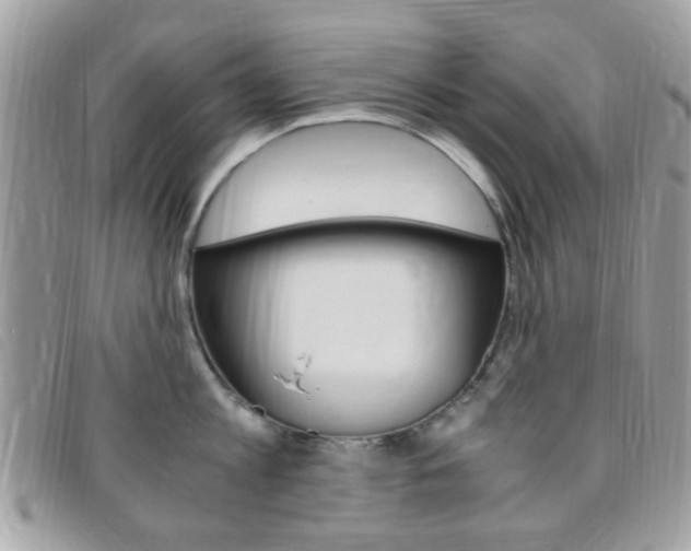 X0000095940813200801110853