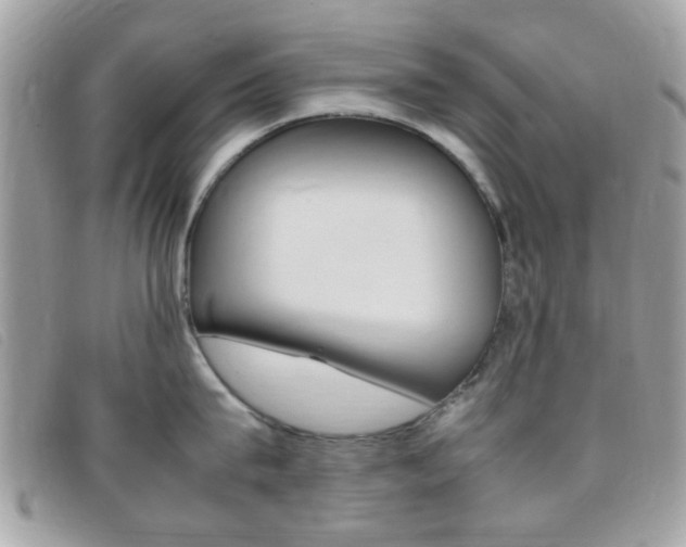 X0000095940815200801110853