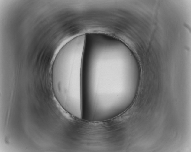 X0000095940816200801110853