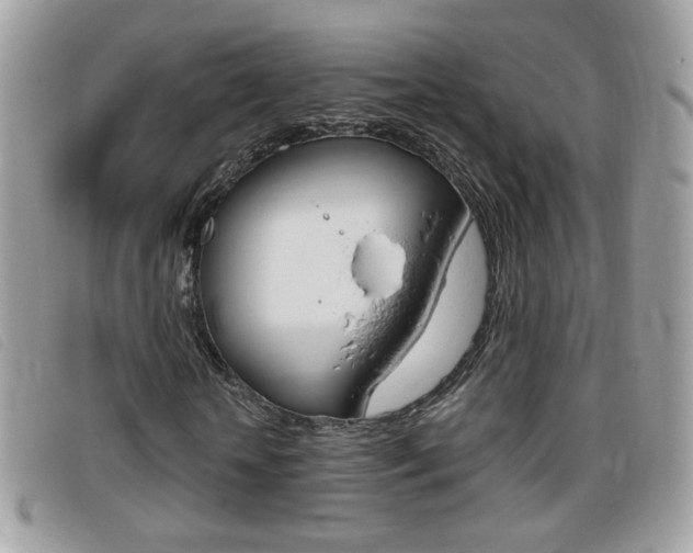 X0000095940818200801110852