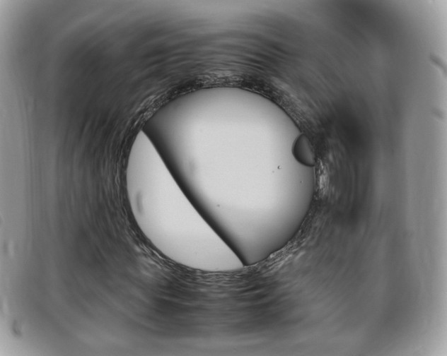 X0000095940819200801110852
