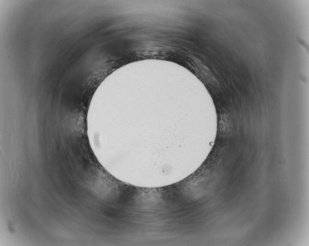 X0000095940820200801110852