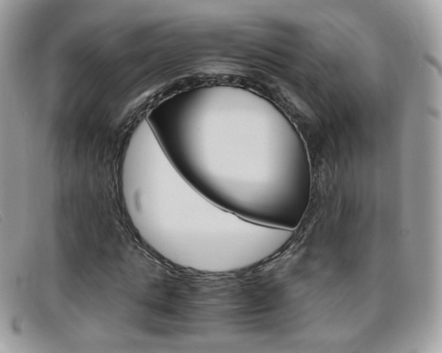 X0000095940821200801110852