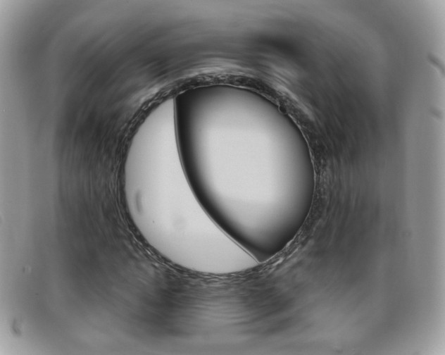 X0000095940822200801110852