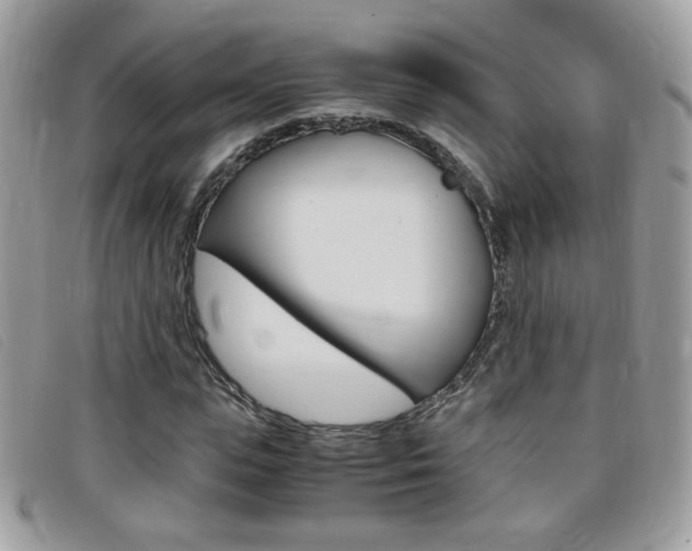 X0000095940823200801110852