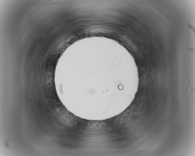X0000095940824200801110852