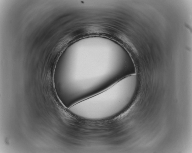 X0000095940825200801110852