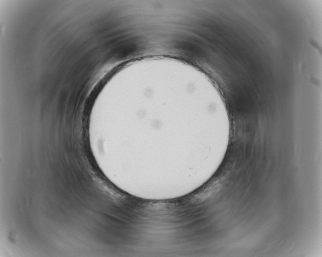 X0000095940828200801110852