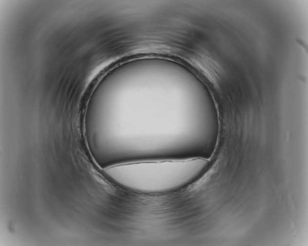 X0000095940830200801110852
