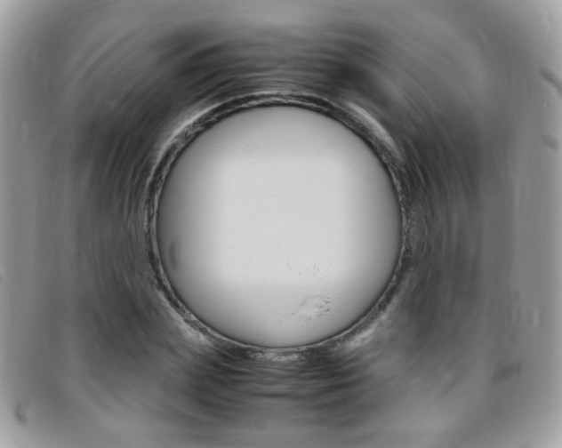 X0000095940831200801110852