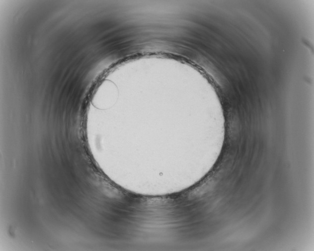 X0000095940832200801110852