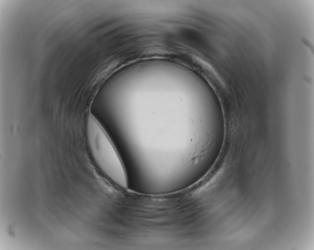 X0000095940833200801110852