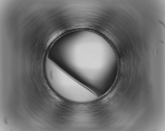 X0000095940834200801110852