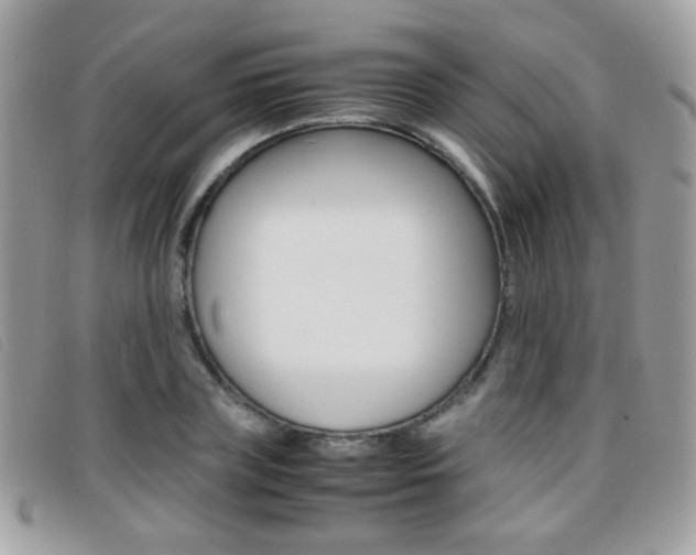 X0000095940835200801110852