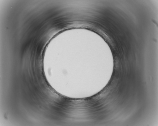 X0000095940836200801110852