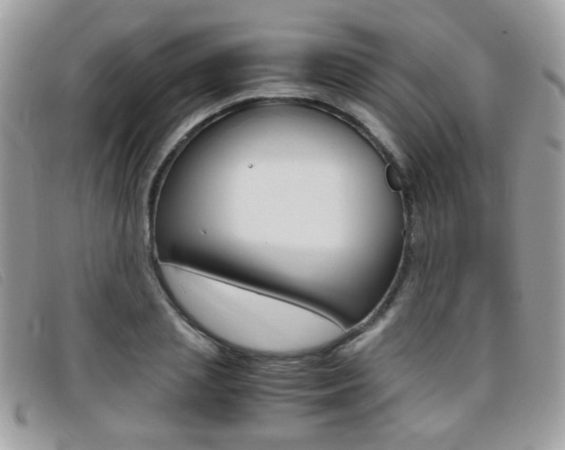 X0000095940837200801110852