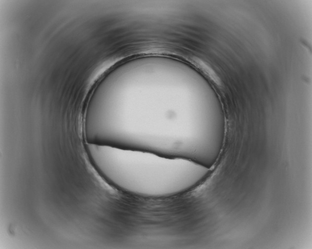 X0000095940839200801110853