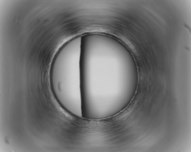 X0000095940840200801110853