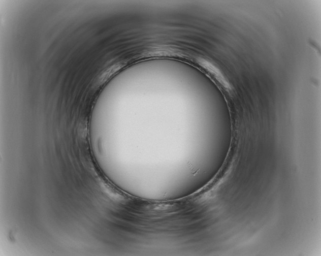 X0000095940841200801110853