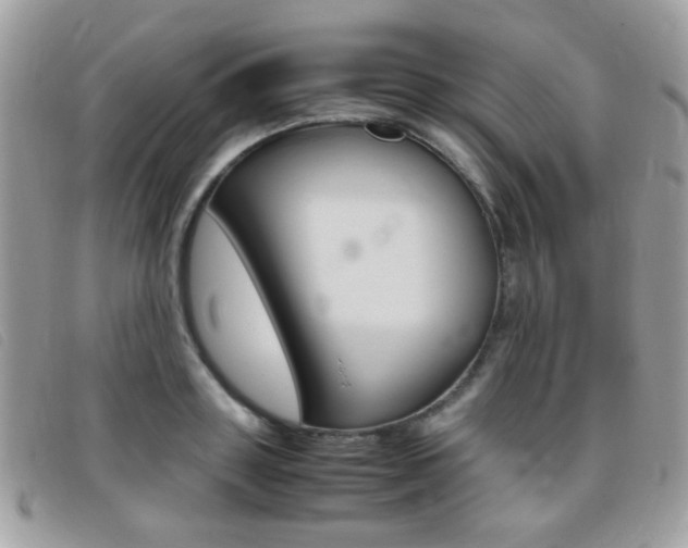 X0000095940843200801110853