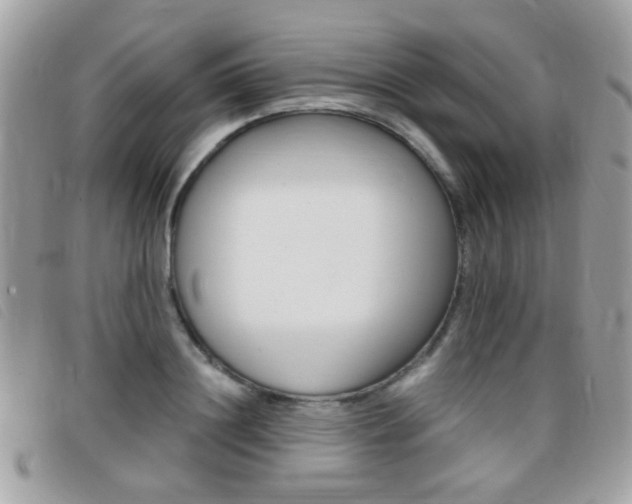 X0000095940844200801110853