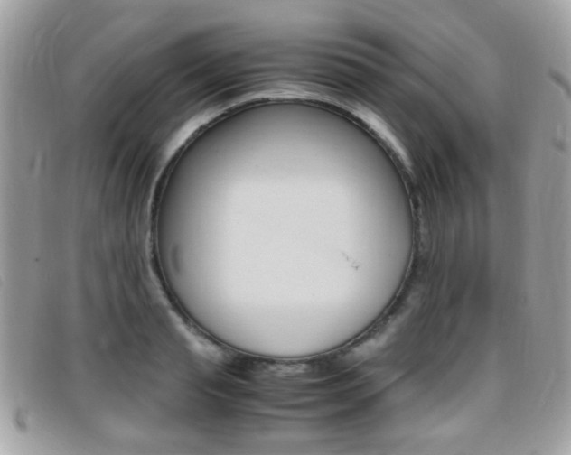 X0000095940845200801110853