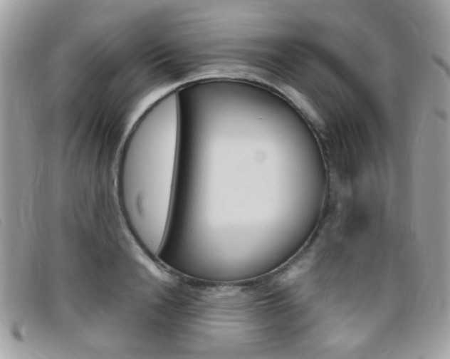X0000095940846200801110853