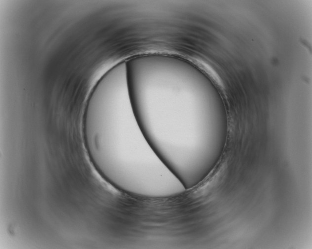 X0000095940847200801110853