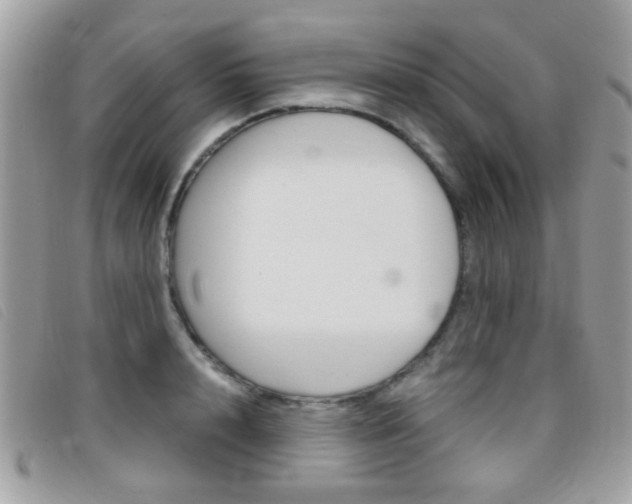 X0000095940848200801110853