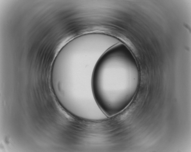 X0000095940850200801110853