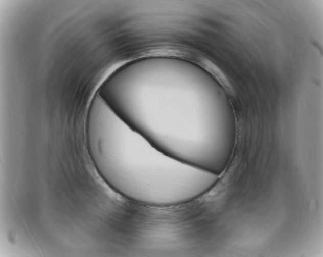 X0000095940852200801110853