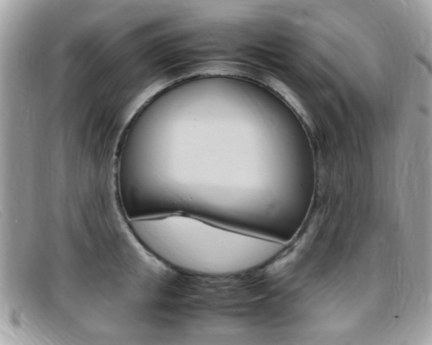 X0000095940853200801110853