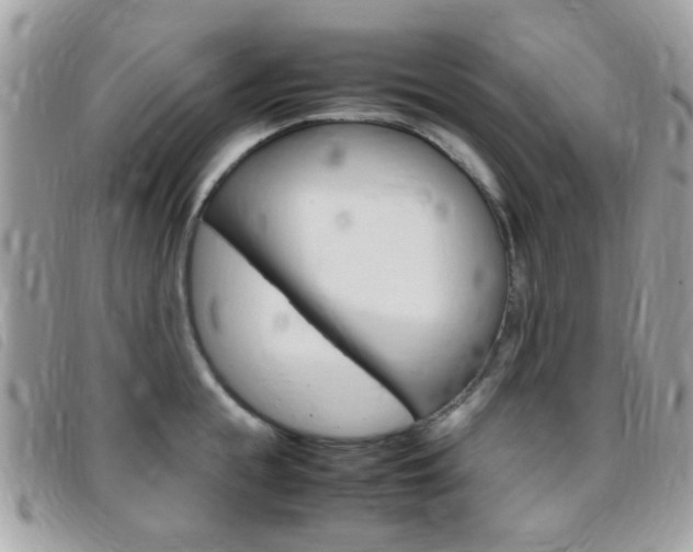 X0000095940855200801110853