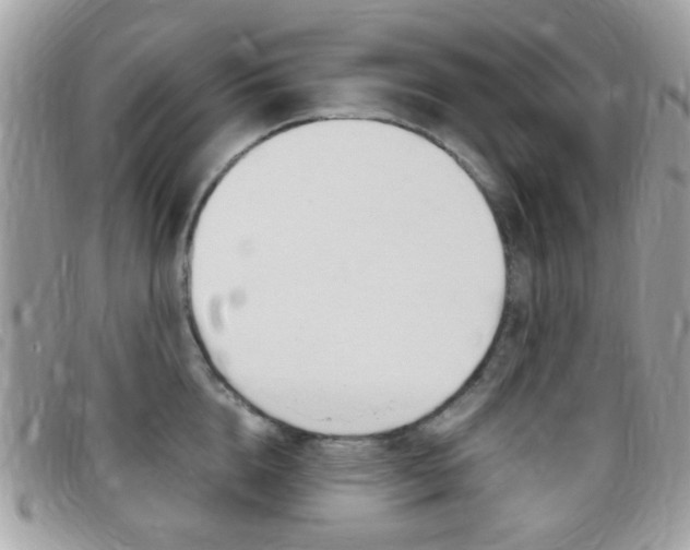 X0000095940856200801110853