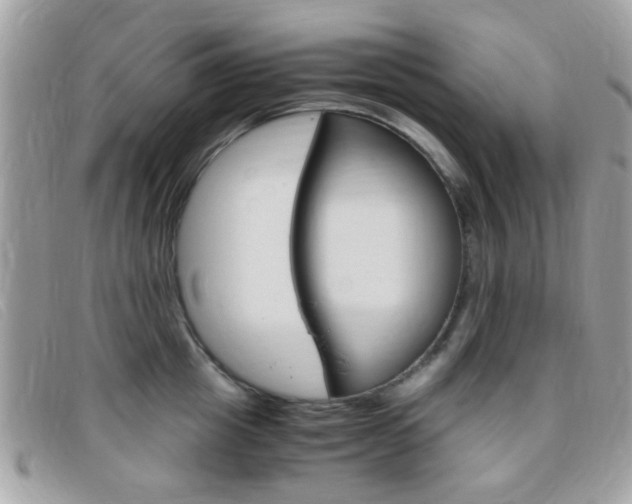 X0000095940857200801110853