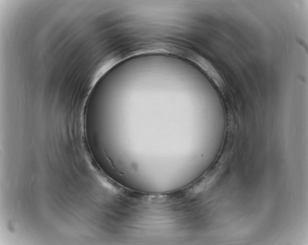 X0000095940858200801110853