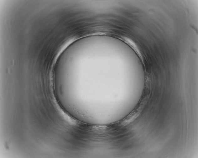 X0000095940859200801110853