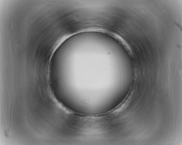X0000095940860200801110853