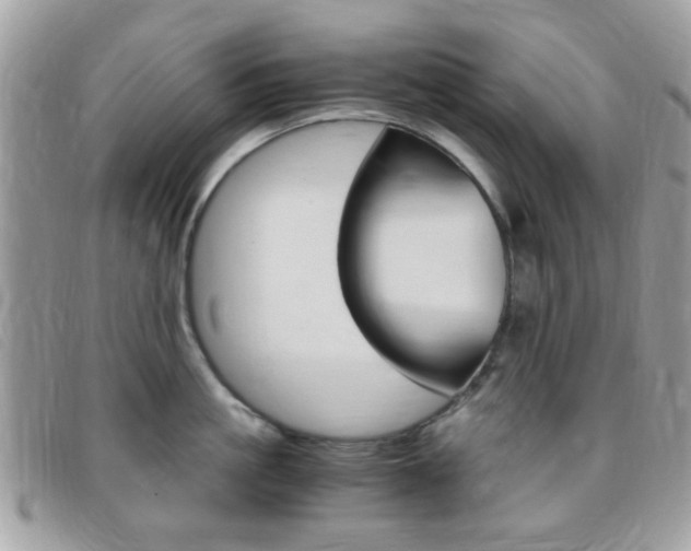 X0000095940861200801110853