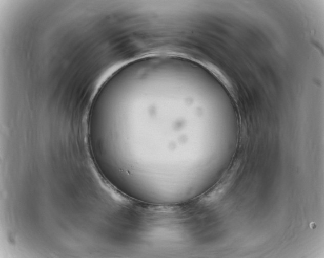 X0000095940862200801110853