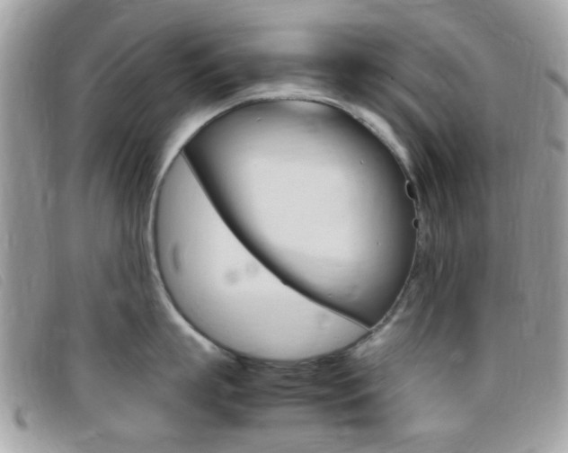 X0000095940863200801110853