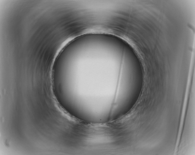 X0000095940864200801110853
