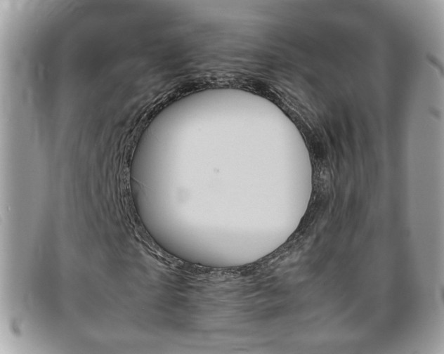 X0000095940865200801110852