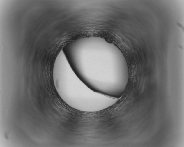 X0000095940866200801110852