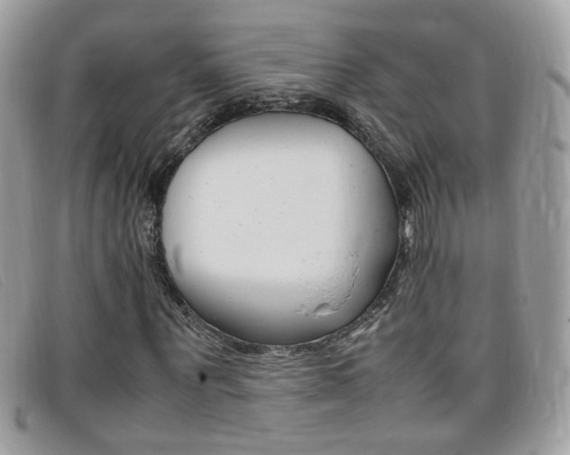X0000095940867200801110852