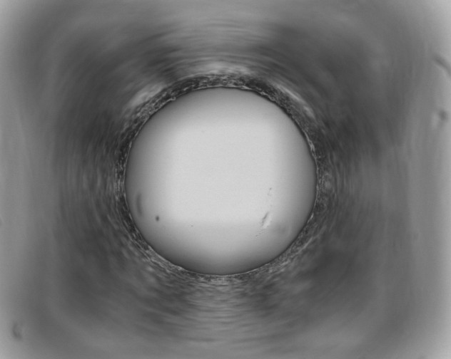X0000095940869200801110852